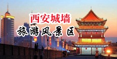 日木美女穴穴浪水一区二区中国陕西-西安城墙旅游风景区